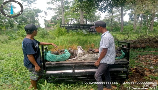 Forester BKPH Bondowoso