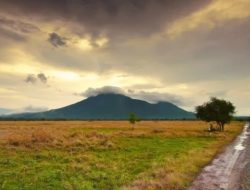 Taman Nasional Baluran Situbondo Ditutup Sementara untuk Evaluasi Pasca Liburan