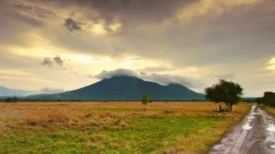 Taman Nasional Baluran Situbondo