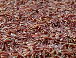 Manfaat Beras Merah dan Cara Mengolahnya