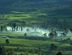 Pariwisata Berkelanjutan: Langkah-langkah Menuju Destinasi Ramah Lingkungan