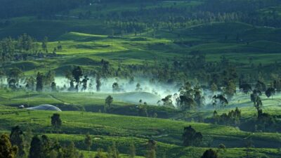 Pariwisata Berkelanjutan