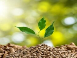 Peluang dan Tantangan Energi Biomassa dalam Menyediakan Listrik Ramah Lingkungan