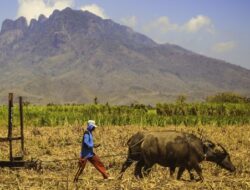 Gunung Ringgit, Gunung dengan Wajah Putri Tidur dan Makam Bangsawan