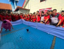 Kehebohan Lomba Tangkap Bebek: Menyemarakkan Hari Pengayoman dan HUT RI di Rutan Situbondo