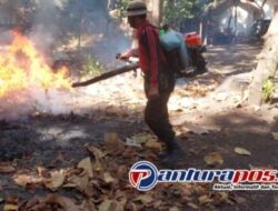 Gunakan Engine Blower, Inovasi KPH Bondowoso Simulasi Kebakaran Hutan