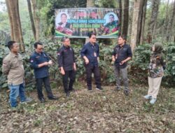 Kadishut Jatim Petik Kopi di Bondowoso, Beri Semangat Baru Bagi Petani