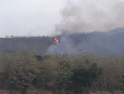 Kebakaran Hutan Jati di Kendit Hanguskan 5,7 Hektar Lahan