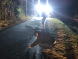 Tipis Tanpa Papan Nama Diduga Pekerjaan Siluman Pengaspalan Jalan