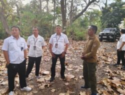 Kadivre Jatim Sidak KPH Bondowoso: Dorong Percepatan Tebang Habis dan Optimalisasi Kinerja