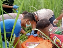 Misteri Mayat Tanpa Identitas di Ladang Tebu Situbondo, Warga Dibayangi Teka-Teki
