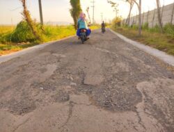 Pengaspalan Jalan Senilai Rp8 M Rusak Meski Seumur Jagung, Masyarakat Situbondo : Sepertinya Ada Aroma Korupsi