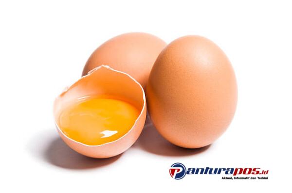 Telur Bikin Kolesterol Naik