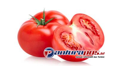 manfaat tomat