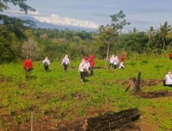 Reboisasi 2025, Perum Perhutani Bondowoso Tanam 1.300 Bibit Pinus Bersama Warga