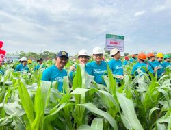 Sedekah Oksigen, Perhutani Jatim Awali Langkah Besar Menuju Bumi Lebih Hijau