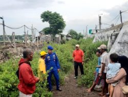 Nelayan Hilang di Pantai Paras Situbondo: Pencarian Tim SAR Gabungan Terus Berlanjut