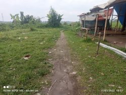 Sabung Ayam Mojokerto: Praktik Perjudian Tertutup, Dugaan Aparat “Tutup Mata” Terkuak