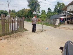 Kesal Bekas Galian PDAM Dibiarkan, Warga Idi Rayeuk Tanam Pohon Kedondong Di Tengah Jalan