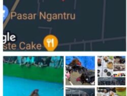 Maraknya Praktik Perjudian Sabung Ayam Di Tulungagung, Masyarakat Resah