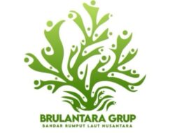 Balad Grup Kembangkan Budidaya Rumput Laut Terbesar di Dunia, Buka 1.000 Lowongan Kerja!
