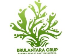 Mendunia Bersama Budidaya Rumput Laut: Indonesia Siap Kuasai Pasar Global