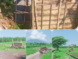 Teror Di Wringin Anom! Belasan Rumah Sawah Dibongkar, Petani Nyaris Balas Dendam