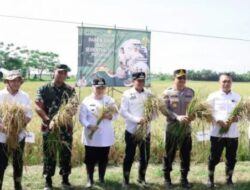 Tangerang Panen Raya Bersama Presiden Prabowo: Petani Semakin Sejahtera, Produktivitas Meningkat