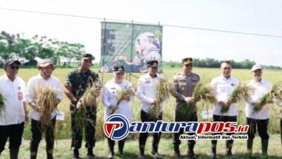 Tangerang Panen Raya Bersama Presiden Prabowo: Petani Semakin Sejahtera, Produktivitas Meningkat