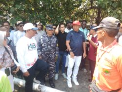 Posal Panarukan Kawal Lomba Perahu Layar dan Ayam Sap-sap di Pasir Putih
