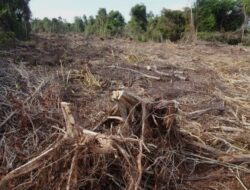 Banjir Bandang Beruntun Akhir 2025 Jadi Peringatan Keras Kerusakan Lingkungan di Jawa Timur