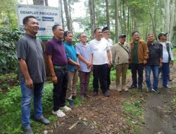 Kajati Jatim Apresiasi Pengelolaan Agroforestry dan Wisata Hutan di Bondowoso