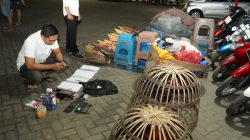 Polres Situbondo Tetapkan Empat Orang Tersangka Perjudian Sabung Ayam di Mangaran