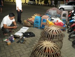 Polres Situbondo Tetapkan Empat Orang Tersangka Perjudian Sabung Ayam di Mangaran
