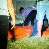 Bidan RSUD Besuki Ditemukan Tewas di Pantura Tampora, Suami Diduga Jadi Pelaku