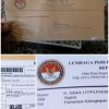 Perjuangan Warga Karangmalang Menembus LPSK, Perlindungan Saksi Masuki Tahap Verifikasi. 